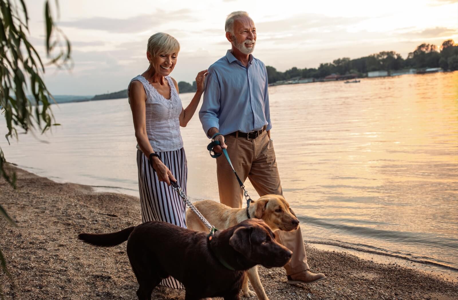 A happy senior couple walking their dogs by the shore.